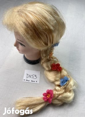 Aranyhaj haj, Aranyhaj jelmez haj DV53