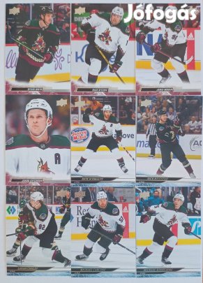 Arizona Coyotes Utah Mammoth NHL kártyák Cooley Bjugstad Ritchie