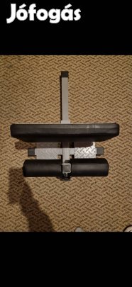 Arnold sissy guggoló