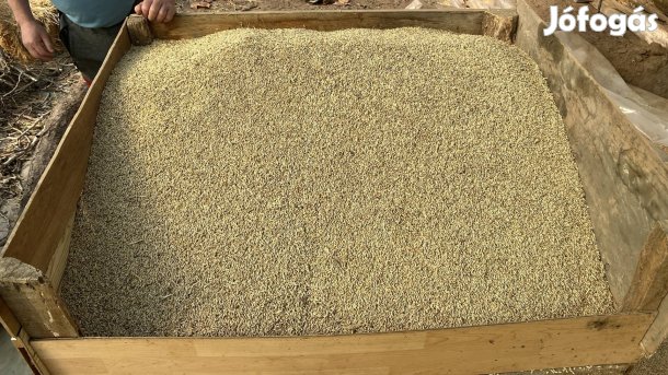 Árpa 10 mázsa eladó
