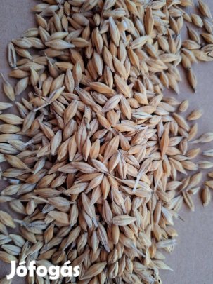 Árpa eladó !