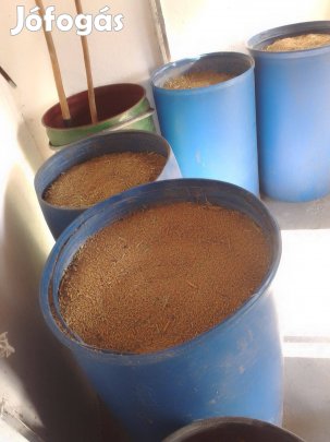 Árpa takarmányozási célra eladó Győr 10 000 Ft q