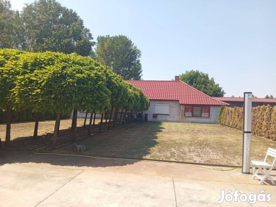 Ásotthalmi birtok sok épülettel, 128 hektáros szántó területtel