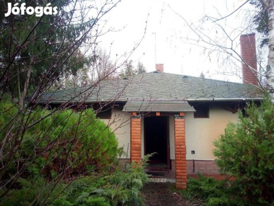 Ásotthalmi erdei tanya, két különálló 120+130 nm-es lakóépülettel