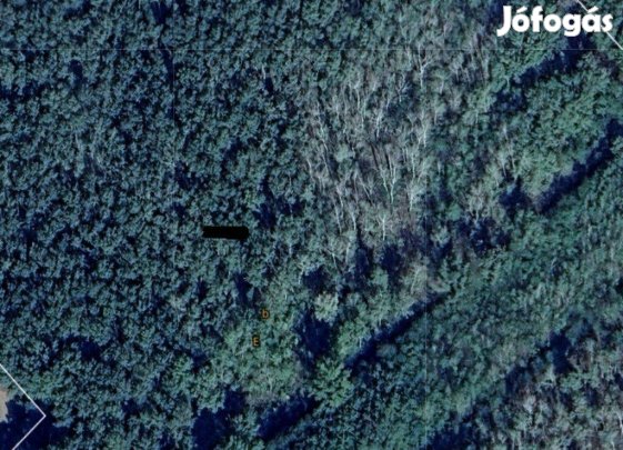 Ásotthalmi erdőterületek, egyben és külön is eladók