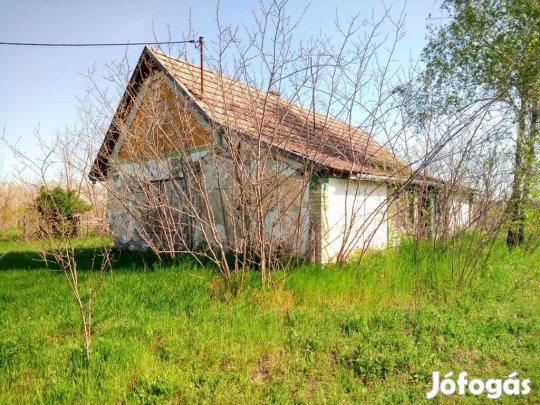 Ásotthalom gátsori 80 nm-es tanya, melléképülettel, 5756 nm-es terület