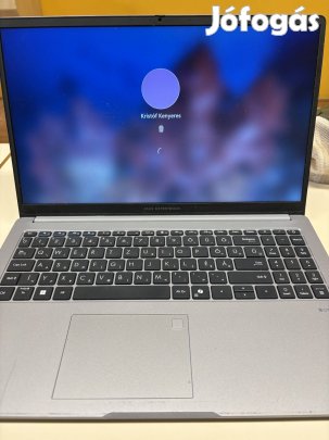 Asus Expertbook P1503CVA (i7-13700H, 32GB RAM, 1TB SSD)