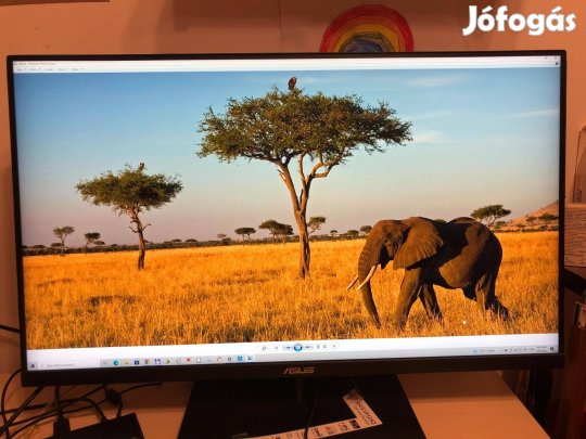 Asus Monitor 32 colos