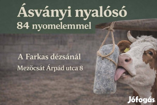 Ásványi nyalósó kősó 