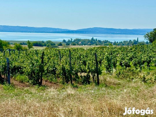 Aszófőn Örökpanorámás telek eladó!