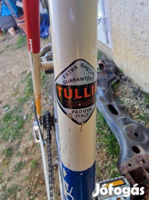 Atala corsa campa nuovo szettel 58as