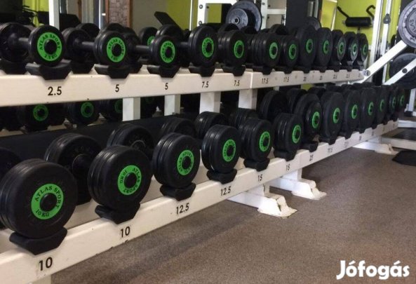 Atlas Sport kézisúlyzó készlet