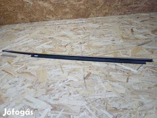 Audi A5 (2007-2017) Bal Első Ajtó Vízlehúzó Gumi