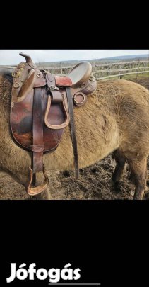 Ausztrál túranyereg 