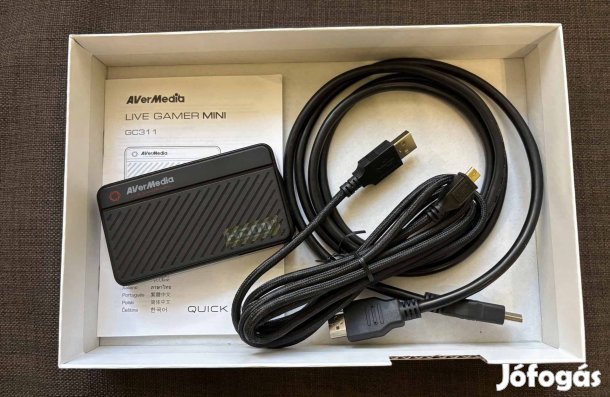 Avermedia Capture Box GC311