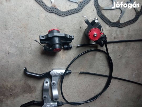 Avid tárcsafekszett