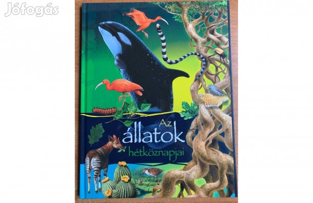 Az állatok hétköznapjai