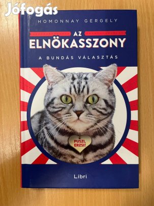 Az elnökasszony - A bundás választás, Homonnay Gergely