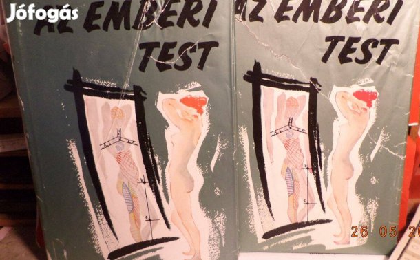 Az emberi test I - II