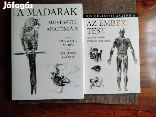 Az emberi test Szunyoghy András