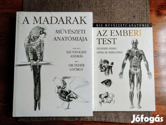 Az emberi test - Kis művészeti anatómia Dr. Fehér György