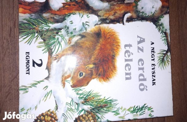 Az erdő télen - keménytáblás leporello