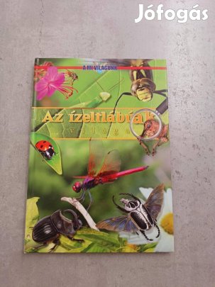 Az ízeltlábúak világa