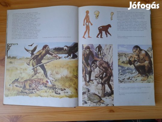 Az őskori ember - könyv