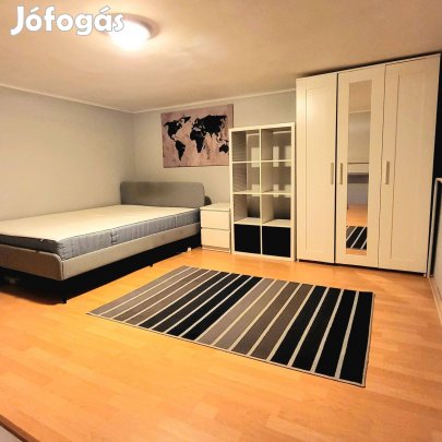 Azonnal beköltözhető VII.kerületi Király utcai 17+12 nm-es apartmant