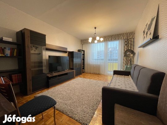 Azonnal birtokba vehető, 2 szobás, erkélyes lakás eladó!