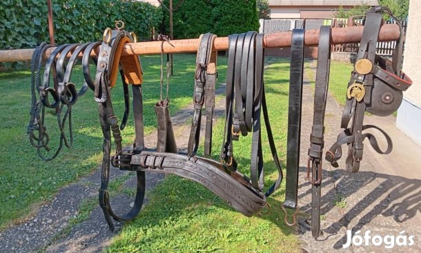 Azonnal fogható teljes lószerszám 170 cm 