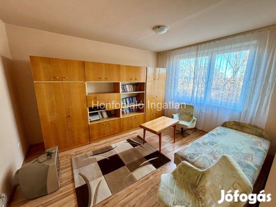 Azonnal költözhető 2 szobás, nagy konyhás, erkélyes lakás