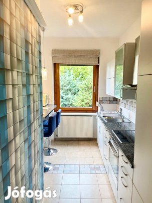 Azonnal költözhető 2 szobás lakás a 13. kerület kertvárosi részén