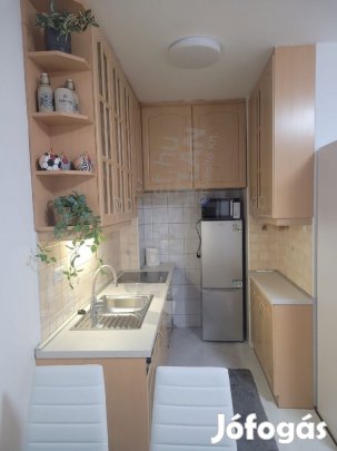 Azonnal költözhető 42 nm-es lakás kiadó a Rétköz utcában.
