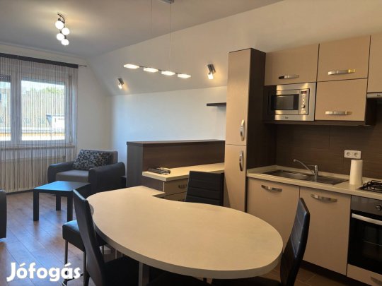 Azonnal költözhető , bútorozott!