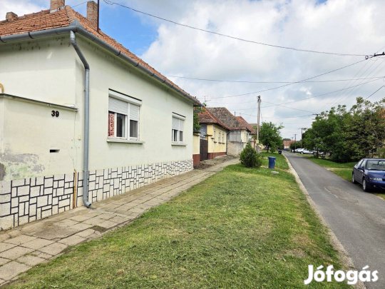 Azonnal költözhető, földszintes családi ház eladó! Videóval!