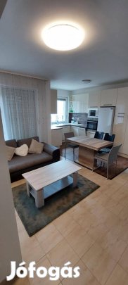 Azonnal költözhető, klímás, nappali + 1 szobás lakás kiadó!