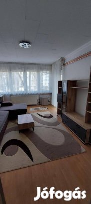 Azonnal költözhető bútorozott és gépesített lakás kiadó!