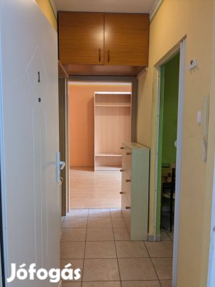 Azonnal költözhető földszinti lakás Herenden eladó