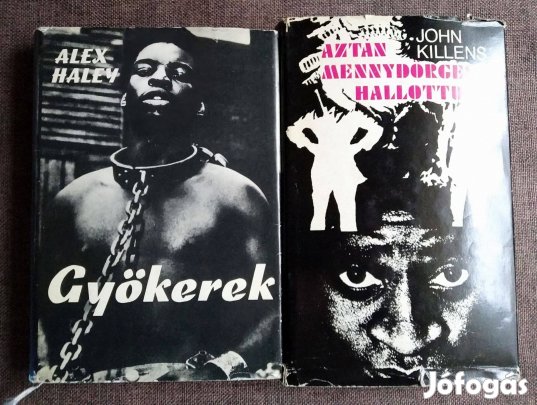 Aztán mennydörgést hallottunk (Dühös regény) Gyökerek (Dokumentumregén