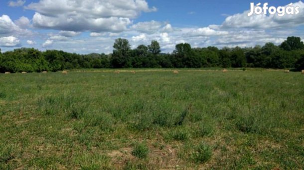 BALATONEDERICS külterület, mezőgazdasági telek, szántó ELADÓ!