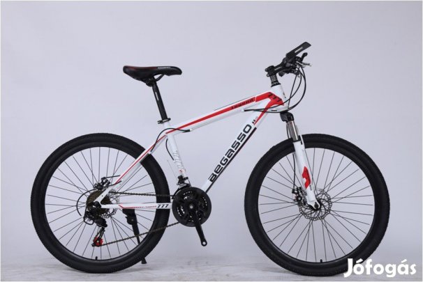 BEGASSO LEGEND MTB kerékpár