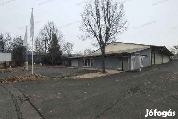 BÉKÉSCSABA - IPARI TELEPHELY KIADÓ  - Kiváló stratégiai