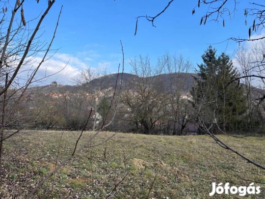 BERUHÁZÓK, KÖZÖS TELEKRE IKERHÁZAT TERVEZŐ FIATALOK FIGYELEM!