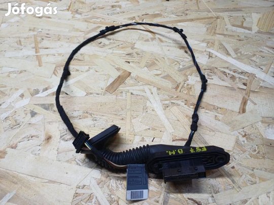 BMW 1 E87 (2005-2011) Bal Hátsó Ajtó Kábelköteg