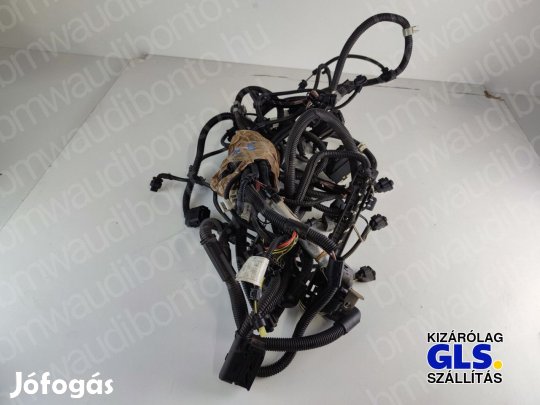 BMW 1 (F20) 114 i N13 Motor kábelköteg (12517627021, 12517607973)