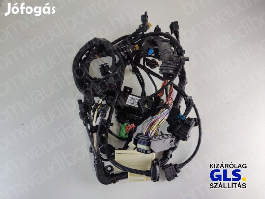 BMW 3 (F30, F80) 320 d B47D20A Motor kábelköteg (8595284, 12518516259)