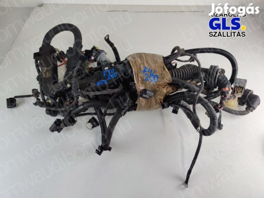 BMW 5 (F10) 525 d N57 Motor kábelköteg (12518513255)