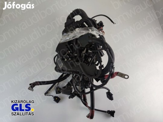 BMW 5 (F10) 530 d N57 Motor kábelköteg (12518513252, 12518507366)