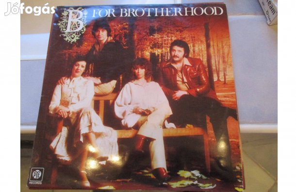 B for brother hood bakelit hanglemez eladó